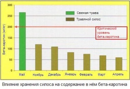 Cikkek etetés szarvasmarha-vitamin (takarmány) Cikkek etetés szarvasmarha-vitamin