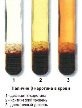 Cikkek etetés szarvasmarha-vitamin (szarvasmarha etetés) Cikkek etetés szarvasmarha-vitamin