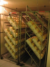 Strucc Farm Kft kendermagos tyúk - strucc, strucc, strucc - strucc üzlet (strucc) Strucc Farm Kft kendermagos tyúk - strucc, strucc, strucc - strucc üzlet