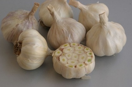 Ezek a különböző fokhagyma (fokhagyma) Ezek a különböző fokhagyma