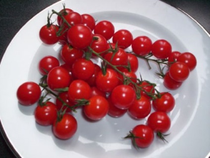 Cherry paradicsom magas fajta (cseresznye) Magas fajták koktélparadicsommal