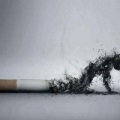 Gyógynövények az glaukóma kezelésére receptek és leírások (glaukóma) Gyógynövények a glaukóma kezelésére receptek és leírások