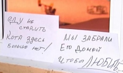 Megható történetek valós tevékenységeket (jó cselekedetek) Megható történetek valós tevékenységeket