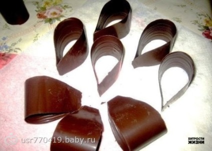 Díszítő csokitorta (íj, levelek, pillangó, kerítés) pillangó csokoládétorta, védjegyet,
