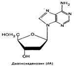 Uracil, guanin, 2 (modell soros alkáli) Uracil, guanin 2