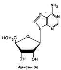 Uracil, guanin, 2 (uracil) Uracil, guanin 2.
