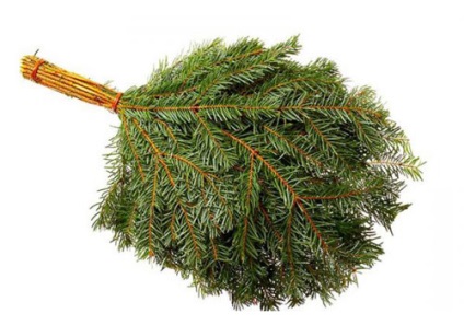Broom a fürdő meg a kezét, az épület portál (fürdő) Broom a fürdő meg a kezét, épület portál