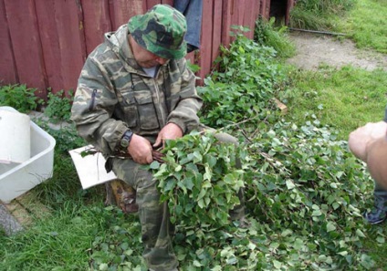 Broom a fürdő meg a kezét, az épület portál (seprű) Broom a fürdő meg a kezét, épület portál