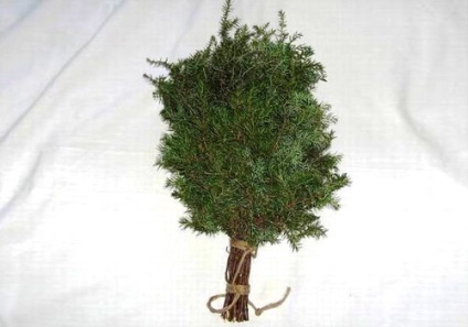Broom a fürdő meg a kezét, az épület portál (seprű) Broom a fürdő meg a kezét, épület portál