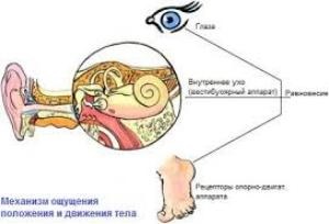 Vestibularis neuritis tünetek és a kezelés (kezelés) Vestibularis neuritis tünetek és a kezelés