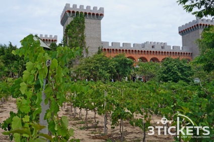Minden látnivalók a Mui Ne és Phan Thiet fotók, térkép és vélemények a mi (Mui Ne) Minden látnivalók a Mui Ne és Phan Thiet fotók, térkép és vélemények a mi