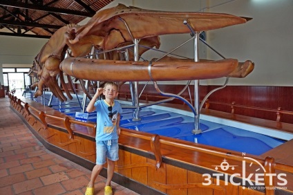 Minden látnivalók a Mui Ne és Phan Thiet fotók, térkép és vélemények a mi (épületek) Minden látnivalók a Mui Ne és Phan Thiet fotók, térkép és vélemények a mi