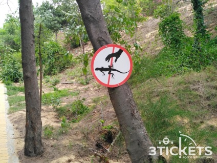 Minden látnivalók a Mui Ne és Phan Thiet fotók, térkép és vélemények a mi (fotó) Minden látnivalók a Mui Ne és Phan Thiet fotók, térkép és vélemények a mi