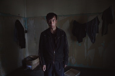 A lépés deportálásuktól mind az élő migráns munkavállalók Magyarországon - repülő madár (munkaerő) A lépés a deportálás, mint a munkaerő-migránsok él Magyarországon - madár, menekülés