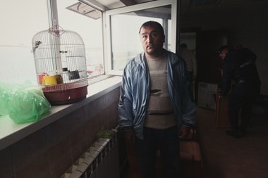 A lépés deportálásuktól mind az élő migráns munkavállalók Magyarországon - repülő madár (deportálták) A lépés a deportálás, mint a munkaerő-migránsok él Magyarországon - madár, menekülés