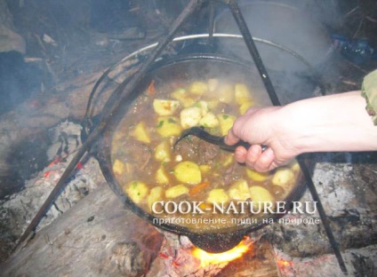 Hare pörkölt burgonyával - főzni a szabadban (nyúl) Hare pörkölt burgonyával - kész természet