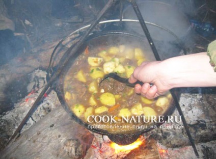 Hare pörkölt burgonyával - kész természet