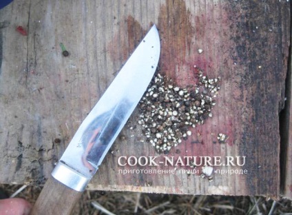 Hare pörkölt burgonyával - főzni a természetben (piros kaliforniai paprika) Hare pörkölt burgonyával - kész természet