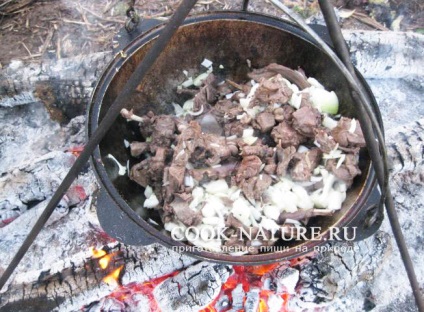 Hare pörkölt burgonyával - főzni a szabadban (burgonya) Hare pörkölt burgonyával - kész természet