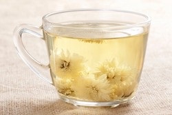 Zöld tea krizantém használatra, recept, ellenjavallatok