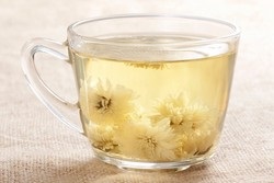 Zöld tea krizantém használatra, recept, ellenjavallatok (krizantém) Zöld tea krizantém használatra, recept, ellenjavallatok