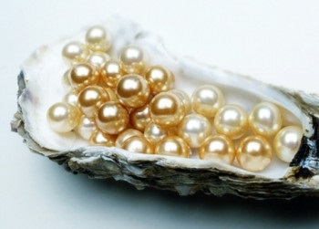 Pearls szimbóluma a kiválóság és a titkos tudás, boldog desszert