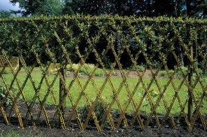 Hedge fűzfa szeretné, hogy az eredeti kerítés az ország saját kezűleg