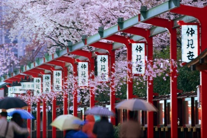 Úgy élj, mintha már halott volt „7 alapelvei japán élet - faktrum (japán) Úgy élj, mintha már halott volt „7 alapelvei japán élet - faktrum