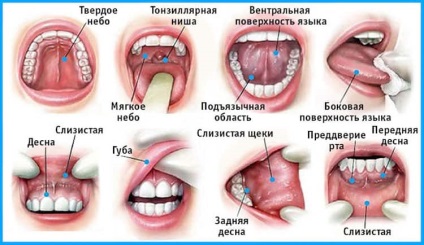 5. A leggyakoribb ráktípusok és tünetei