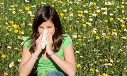 Allergia pollen kezelésére népi jogorvoslat, aromaterápia, Gyógynövények