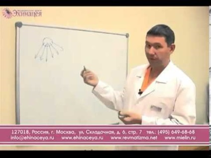 Ne vegye a hadsereg VSD a vegetatív-és érrendszeri dystonia (hogy) Ne vegye a hadsereg VSD a vegetatív-és érrendszeri dystonia