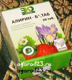 Betegségek uborka üvegházban (üvegház) Betegségei uborka üvegházban