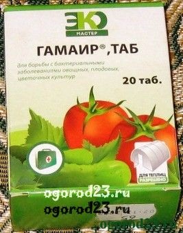 Betegségek az üvegházban uborka (Alirin-Gamair B. táblázat táblázat) Betegségei uborka üvegházban