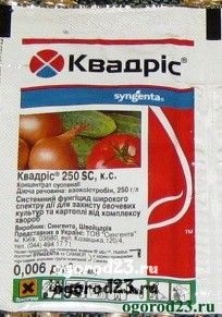 Betegségek uborka üvegházban (üvegház) Betegségei uborka üvegházban