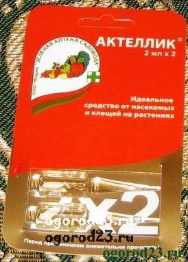 Betegségek uborka üvegházban (üvegház) Betegségei uborka üvegházban