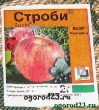 Betegségek az üvegházban uborka (Alirin-Gamair B. táblázat táblázat) Betegségei uborka üvegházban