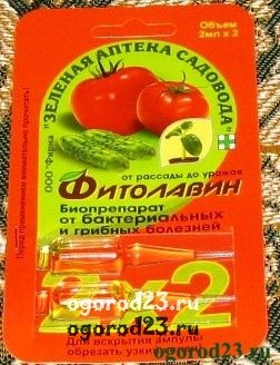Betegségek az üvegházban uborka (Alirin Gamair táblázat-B) Betegségei uborka üvegházban