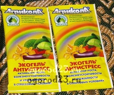 Betegségek az üvegházban uborka (uborka) Betegségei uborka üvegházban