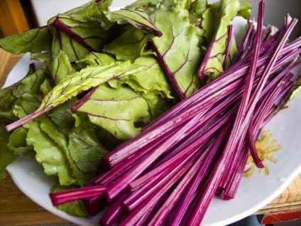 Cukorrépa tetejét hasznos tulajdonságok és ellenjavallatok, alkalmazás funkciók és gyógyító receptek (felsők) Plant cukorrépa hasznos tulajdonságok és ellenjavallatok, alkalmazás funkciók és az orvosi előírások