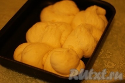 Zsemle burgonyával - recept fotókkal (burgonya) Zsemle burgonyával - recept fotókkal