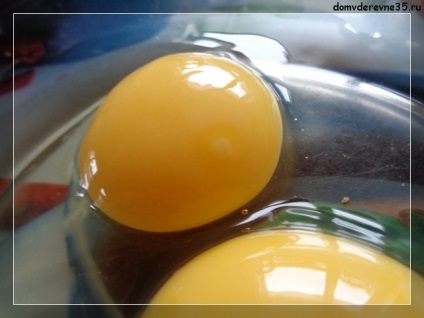 Чим запліднене яйце відрізняється від незаплідненого