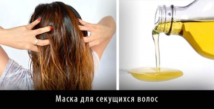 Hasznos, mint a halolaj haj maszk receptek a növekedést és hajhullás ellen, vélemények