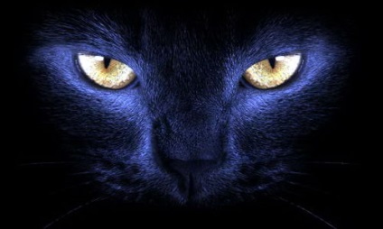 Black Cat in the Night (12 fotó) (fekete) Black Cat in the Night (12 fotó)