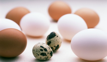 megtermékenyített féreg tojás