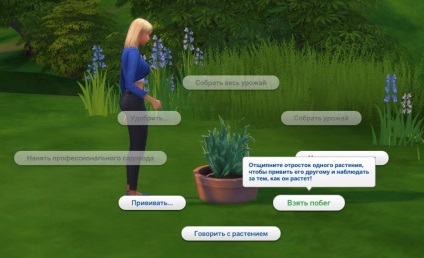 Virág halál Sims 4 - hol található a módszer növekvő és kód (Sims) Virág halál Sims 4 - hol található a módszer növekvő és kód
