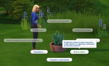 Virág halál Sims 4 - hol található a módszer növekvő és kód