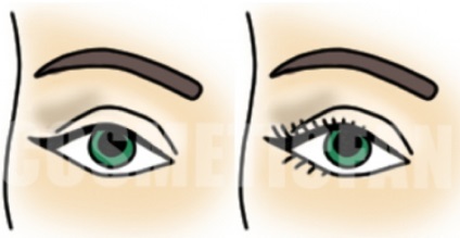 Day make-up zöld szemek lépésről lépésre fotó (nap) Day make-up zöld szemek lépésről lépésre fotó