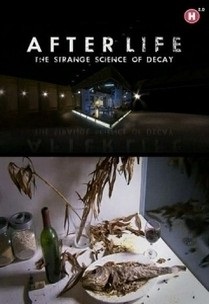 Film a halál utáni életről (élet) Film a halál utáni életről