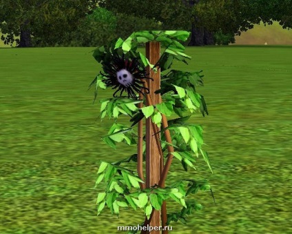 Hol találom a virág a halál The Sims 4