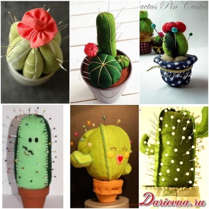 Cactus Tű ágy a kezét (tű ágyban a kezét) Cactus Tű ágy kezével